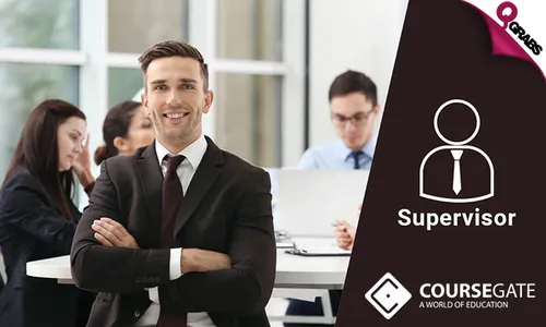 Professional Supervisor Training Online Course!